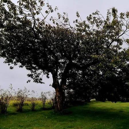 8 Person In Lokken-by Traum